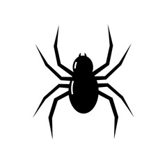 A vector illustration of a classic iconic spider