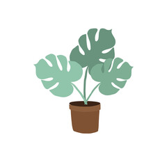 Vector hand drawn doodle sketch green color monstera in pot isolated on white background