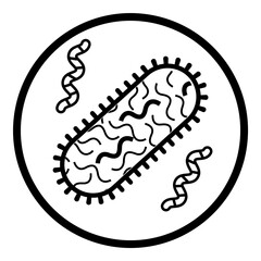 Bacterium