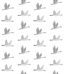 Fototapeta na wymiar Vector seamless pattern of hand drawn doodle sketch colored flying crane bird isolated on white background