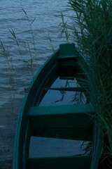 Flooded green boat at dusk by the lake