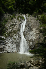Fototapeta na wymiar 布引の滝
