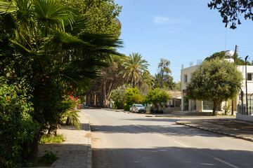 Fototapeta premium Palm trees in the city of cordoba North Cyprus. April 01 2018