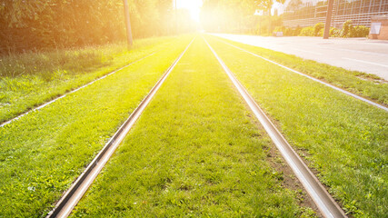 Tram rails on grass with sunlight effect.