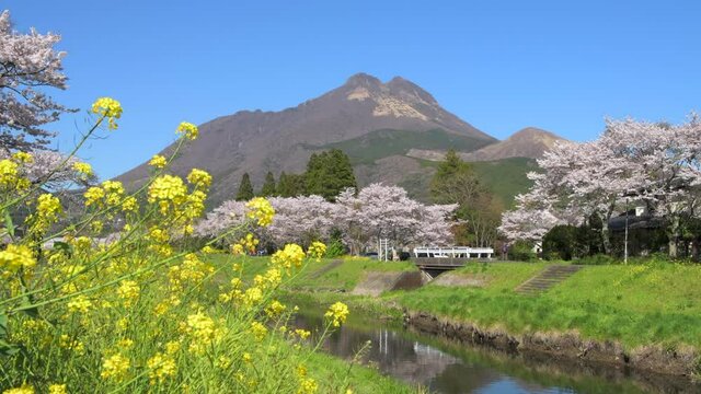 春の由布院
