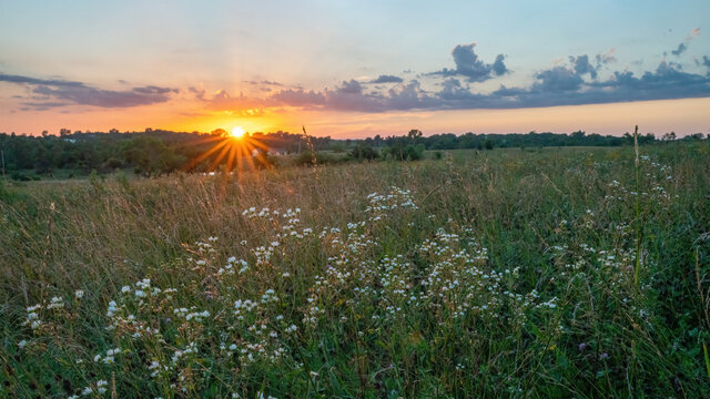 Sunset over prairie field in July
