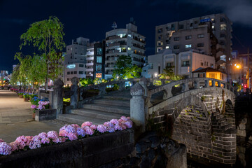 長崎　夜の眼鏡橋とあじさい　都市景観