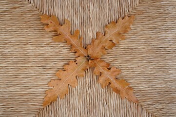 Fototapeta na wymiar oak leaves on wooden background