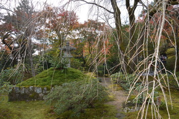 紅葉の京都