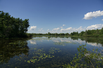 Obraz premium A clear lake on a sunny, summer day