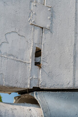 Wasp crawling in opening