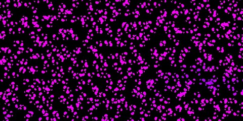 Dark pink vector template with abstract forms.