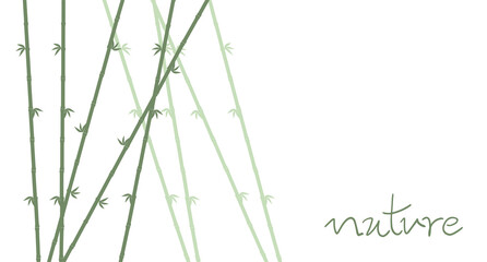 Creative design of bamboo background