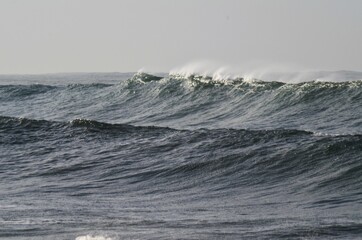 surfing on the beach
