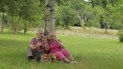Naklejka na ściany i meble Family weekend picnic in park. Senior old couple sit near tree, eating fruits, drinking wine