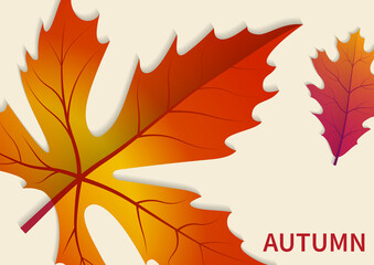 Maple leaf with written phrase autumn.