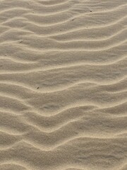 Fototapeta na wymiar sand ripples in the sand