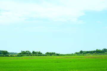 Obraz premium 美しい北海道の風景