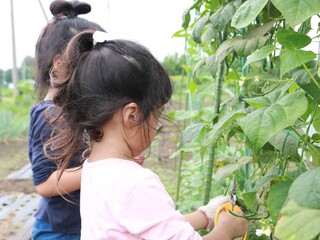畑でお手伝いする子供