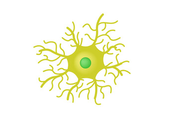 Neuron cell vector..