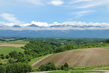 パッチワークの丘