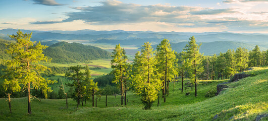 Naklejka premium Picturesque valley, panoramic mountain view. Summer greens of forests and meadows.