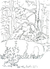pine in the park on a sunny day, graphic black and white drawing