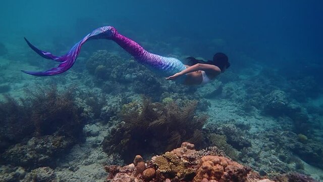 Young female free diver swims underwater in a colorful and sexy mermaid costume, slow motion.