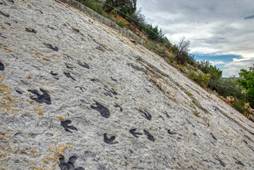 Dinosaur fossil tracks in the Denver Metro Area