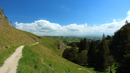 Scenic view along Karaka Wander walking track of hillside and native trees on Te Mata Park, Te Mata Peak, Hawke's Bay, New Zealand