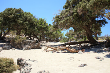 Kedrodasos beach private paradise blue lagoon free camping area rocky coast with crystal waters and...
