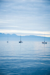 Fototapeta premium Blue Sunset Chill