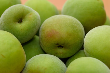 Harvested Green Japanese apricot fruit, Young fruits of Ume
