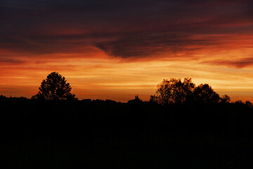 Fototapeta premium sunset over the field