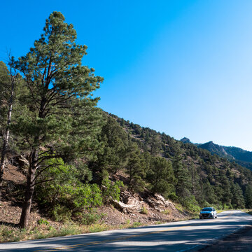 A car passes a pinyon-juniper forest at dawn in Cimarron Canyon State Park in the Sangre de Cristo Range of the Rocky Mountains