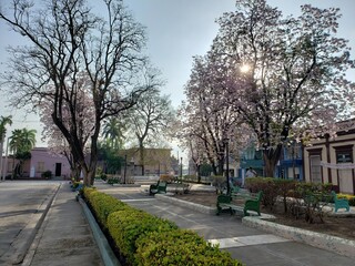 Parquecito de los Coches