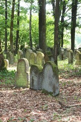Grabsteine jüdischer Friedhof im Wald bei Scheßlitz Franken