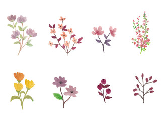 Sets of hand drawn water color flowers