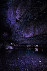 glowworm cave, new zealand