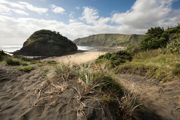 bethells beach, new zealand