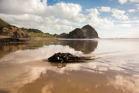 bethells beach, new zealand