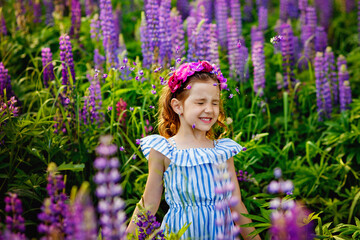 A beautiful 5-year-old girl in a field with lupines throws flowers in the air. A meadow with purple flowers and a little girl with a wreath on her head. Sunny sunset in a clearing and a girl.
