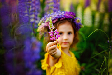 Image with selective focus. On a Sunny summer day, a little girl with a wreath on her head and a yellow dress on a blooming field of lupins.
