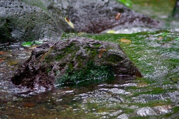 川の流れ