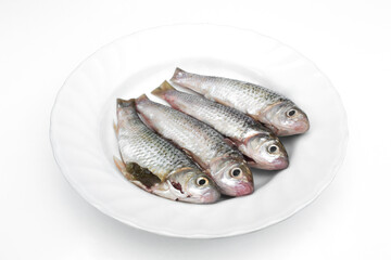 Freshwater fish on a white plate.