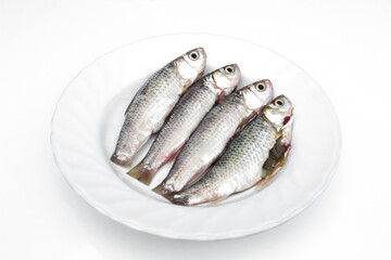 Freshwater fish on a white plate.