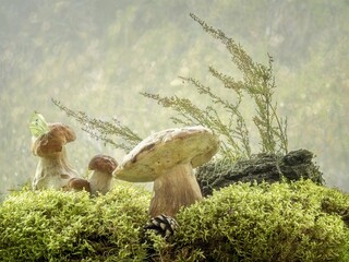 Mushrooms in the forest moss
