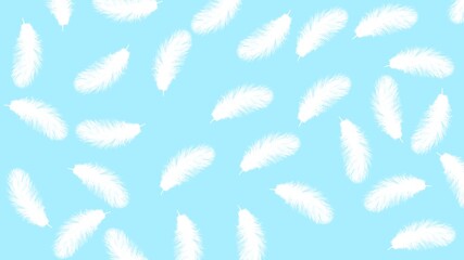 White feathers on a blue background