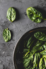 Obraz premium Fresh mini spinach in a colander on the old concrete table. Healthy food, eco product. Vegan