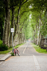 Naklejka premium bike attached to a sign on the road in an alley of green trees